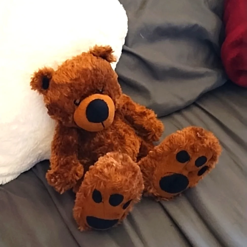 Big Foot Teddy Bear Brown Stuffed Animal plush kids toy Small bear BIG FEET